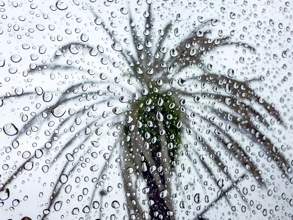 orlando rain orlando rain