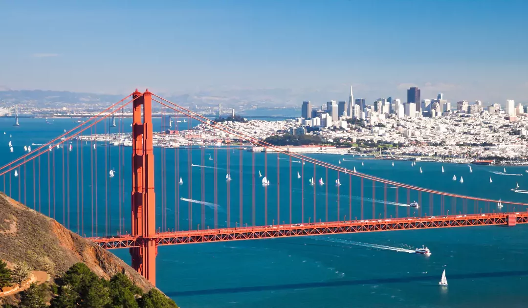 Your Guide To San Francisco Team Building Activities