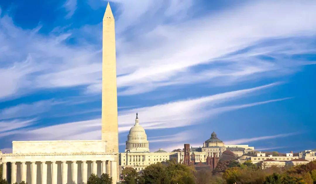 Your Guide To Washington DC Team Building Activities