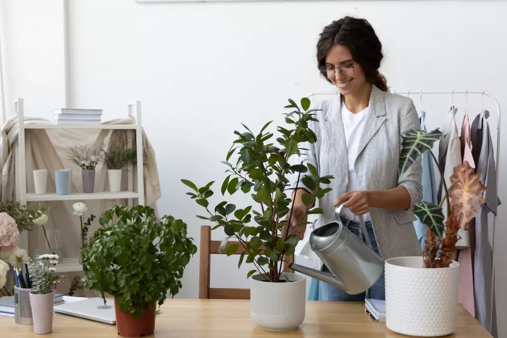 team member watering plants